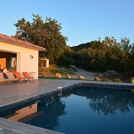 Prestige Dominici By Monarca *