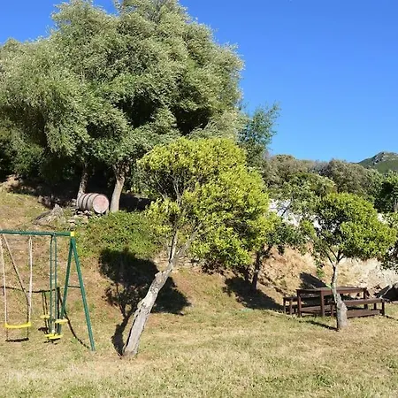 Prestige Dominici By Monarca *