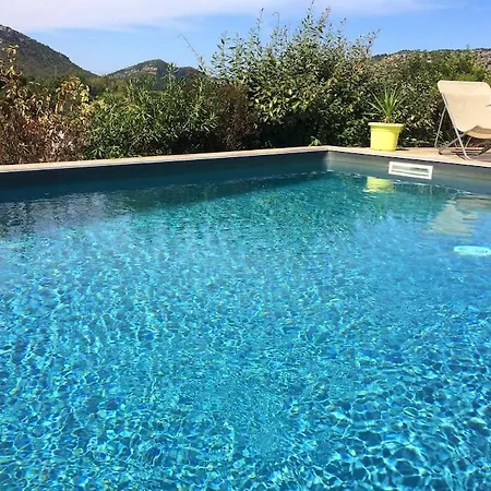 Prestige Dominici By Monarca