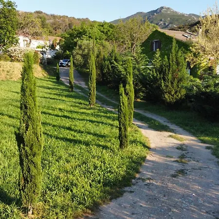 Prestige Dominici By Monarca Patrimonio