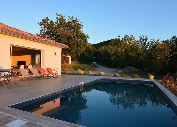 Prestige Dominici By Monarca *