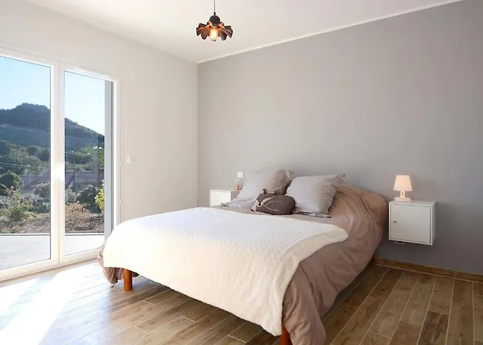 Prestige Dominici By Monarca * Patrimonio