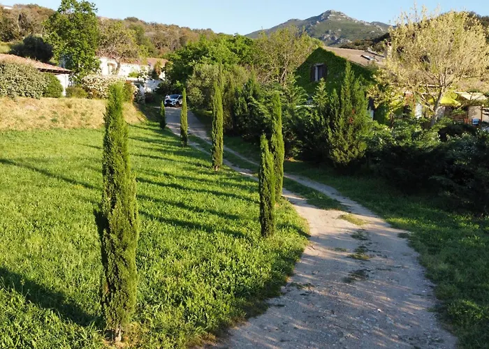 Prestige Dominici By Monarca Patrimonio