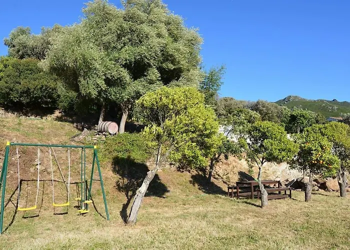 Prestige Dominici By Monarca *